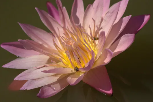 为什么选择我们